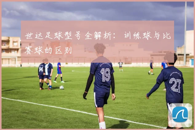 世达足球型号全解析：训练球与比赛球的区别