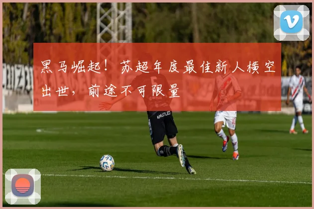 黑马崛起!苏超年度最佳新人横空出世,前途不可限量