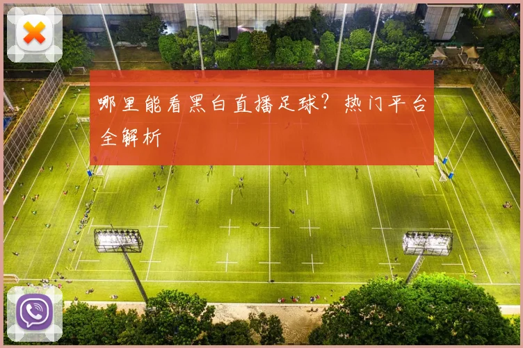 哪里能看黑白直播足球？热门平台全解析